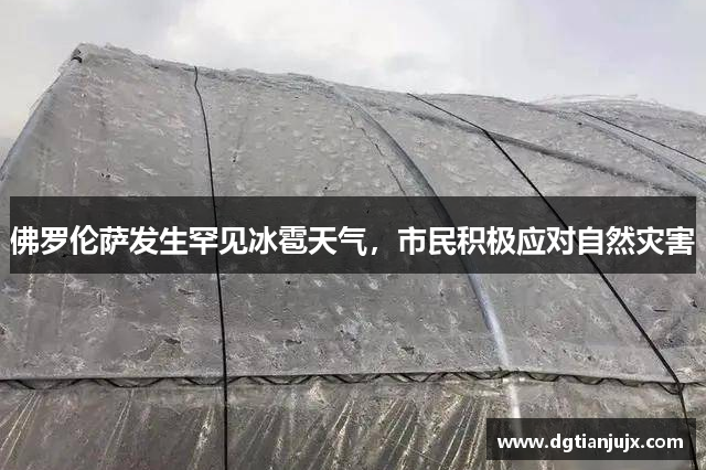 佛罗伦萨发生罕见冰雹天气，市民积极应对自然灾害