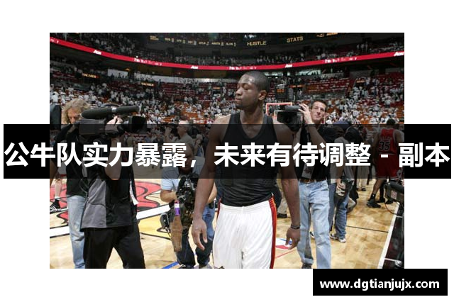 公牛队实力暴露，未来有待调整 - 副本