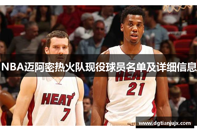 NBA迈阿密热火队现役球员名单及详细信息