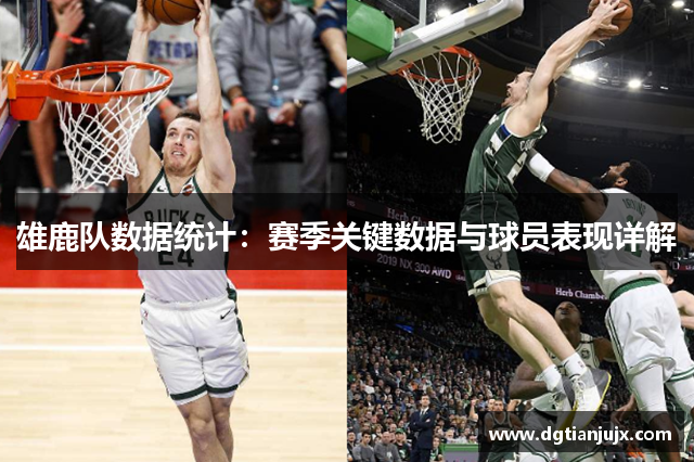 雄鹿队数据统计：赛季关键数据与球员表现详解