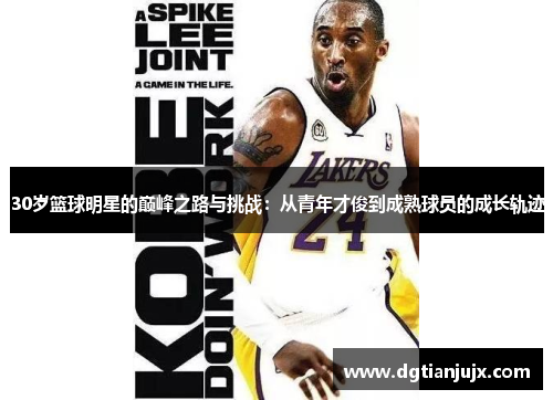 30岁篮球明星的巅峰之路与挑战：从青年才俊到成熟球员的成长轨迹